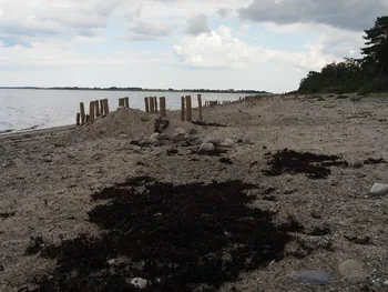 Halshuisene + Enebaerodde Beach (Denemarken)